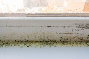 Mold and Poor Ventilation of Classrooms